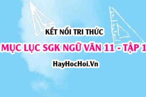 Mục lục SGK Ngữ Văn 11 Kết nối tri thức Tập 1
